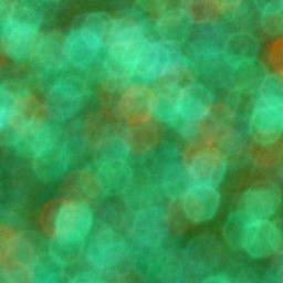 Bokeh-499